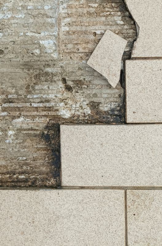 Damaged Tile Replacement